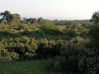 Building Plot Souni Souni  Limassol
