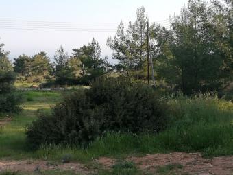Building Plot Souni Souni  Limassol
