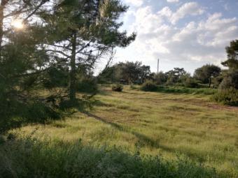 Building Plot Souni Souni  Limassol