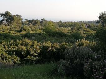 Building Plot Souni Souni  Limassol