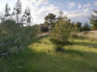 Building Plot Souni Souni  Limassol