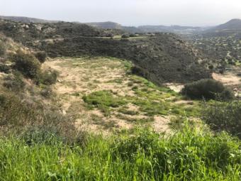 Field Pachna Pachna  Limassol