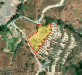 Field Vouni Vouni  Limassol