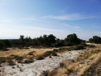 Field Monagroulli Monagroulli  Limassol