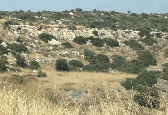Field Agios Tychonas Agios Tychonas  Limassol