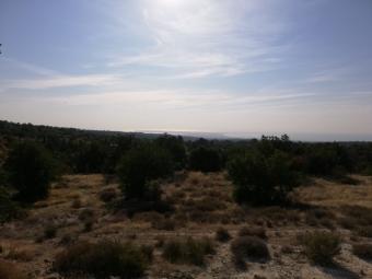 Field Pano Kivides Pano Kivides  Limassol