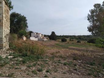 Plot of land Kouklia Kouklia, Paphos